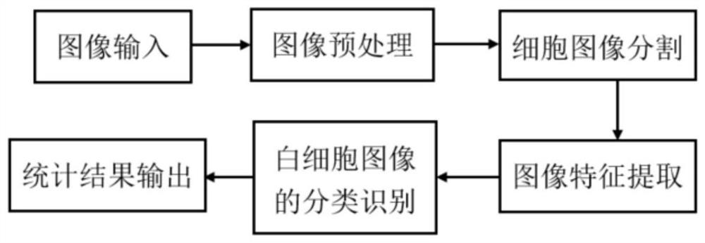 An analysis method of an automatic blood smear morphology analysis device based on machine vision