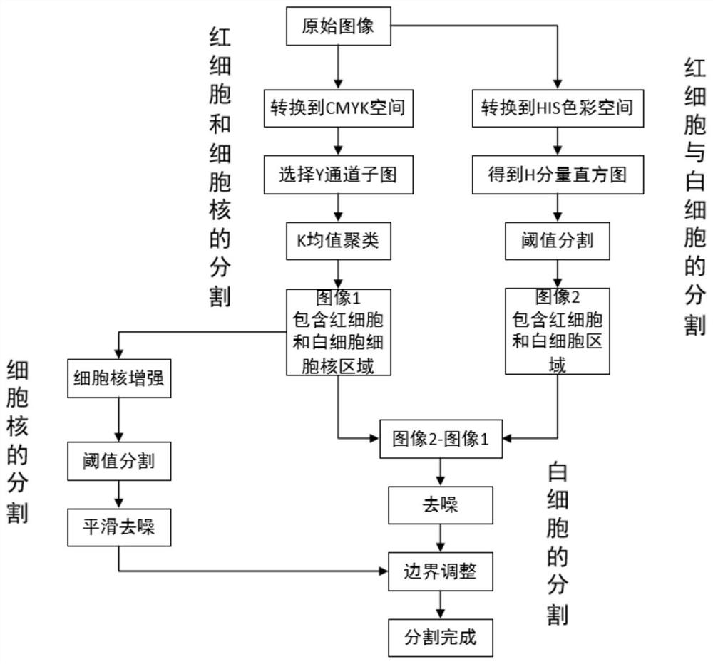 An analysis method of an automatic blood smear morphology analysis device based on machine vision