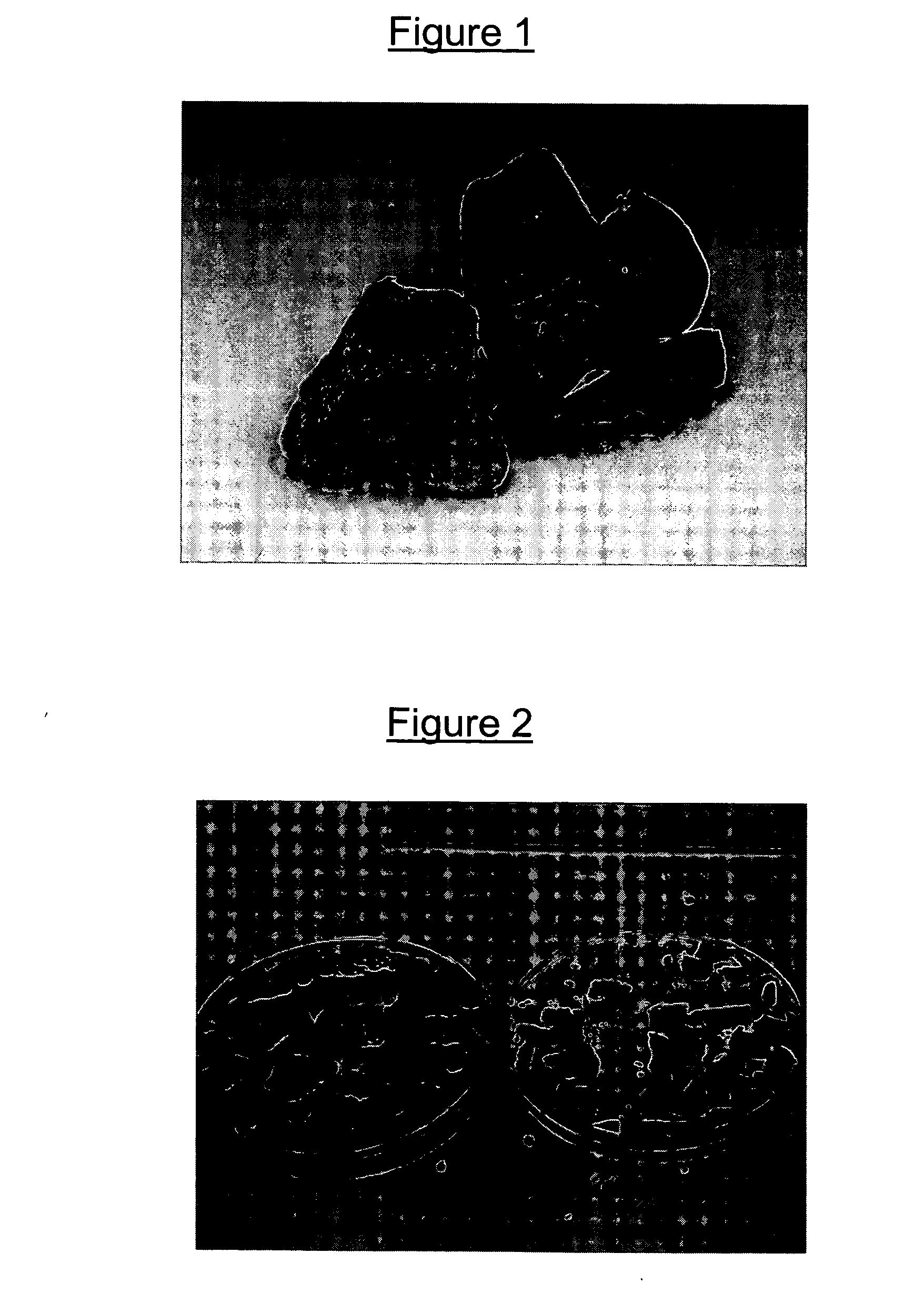 Implantable biomaterial and method for the preparation thereof