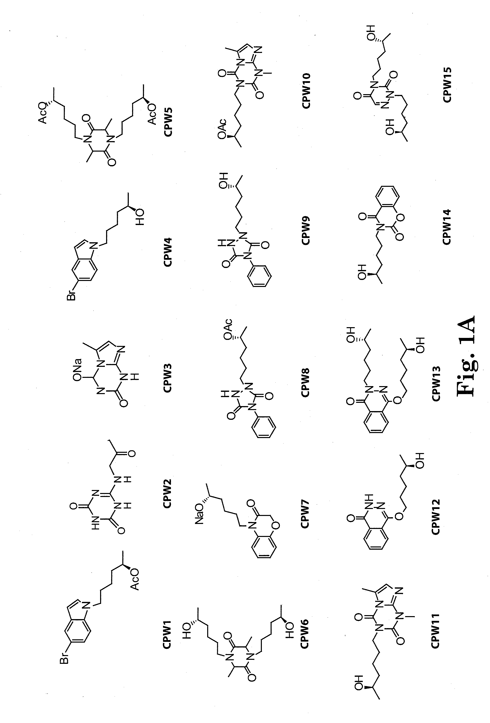 Lisofylline analogs and methods for use