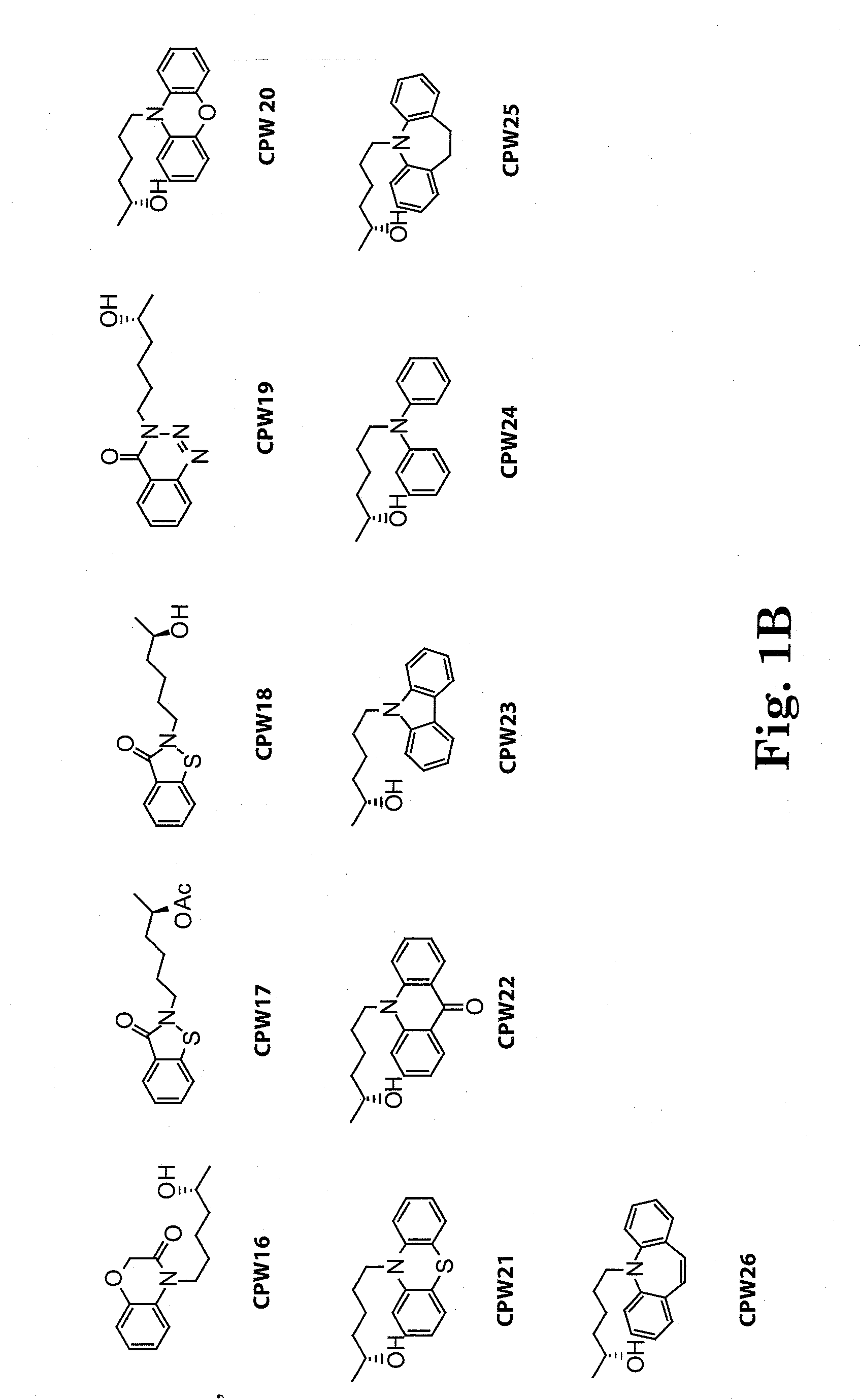 Lisofylline analogs and methods for use