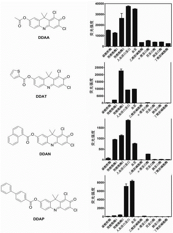 Application of high-specificity fluorescent probe for detecting human serum albumin