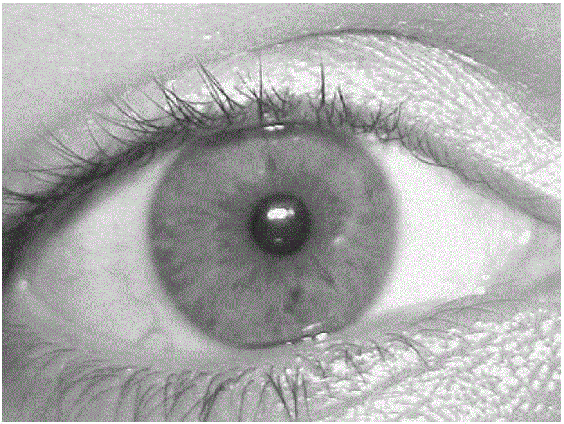 Pupil center positioning method for iris recognition