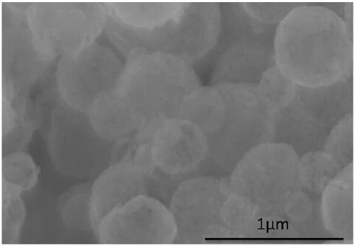 a fes  <sub>2</sub> Preparation method and application of composite material with s