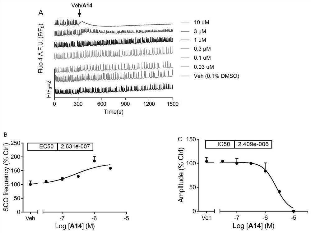 Biphenyl compound and diterpenoid compound as well as preparation method and application thereof