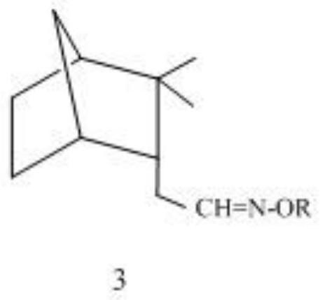 Synthesis method and antibacterial application of endo-isocamyl formaldehyde oxime and its alkyl ether