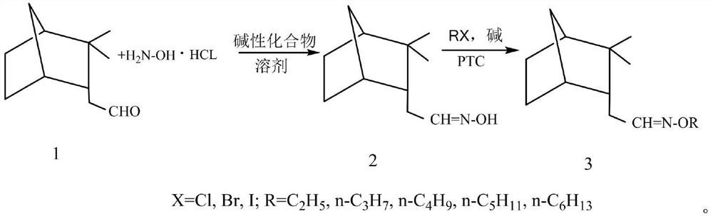 Synthesis method and antibacterial application of endo-isocamyl formaldehyde oxime and its alkyl ether