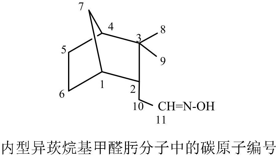 Synthesis method and antibacterial application of endo-isocamyl formaldehyde oxime and its alkyl ether