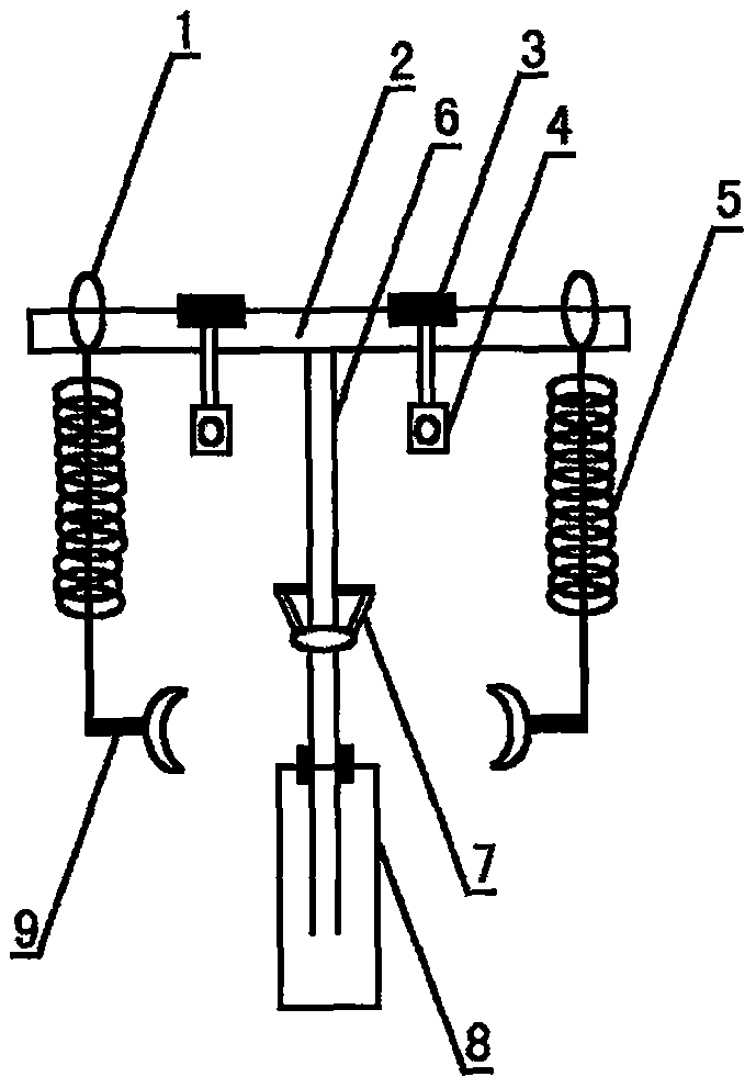 Positioning auxiliary device for bloodletting of domestic poultry