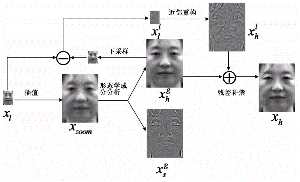Face image super-resolution reconstruction method based on morphological component analysis