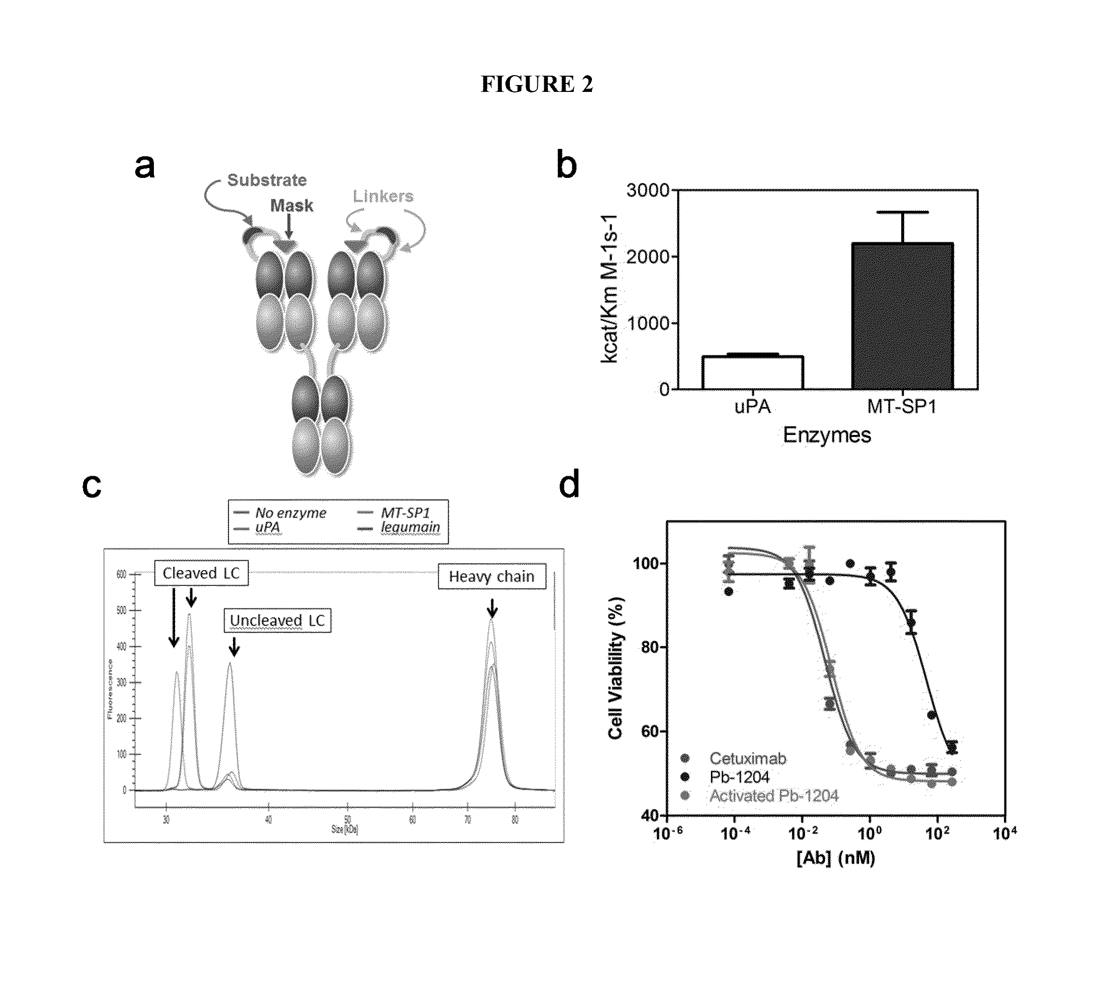 Activatable Antibodies That Bind Epidermal Growth Factor Receptor And Methods Of Use Thereof