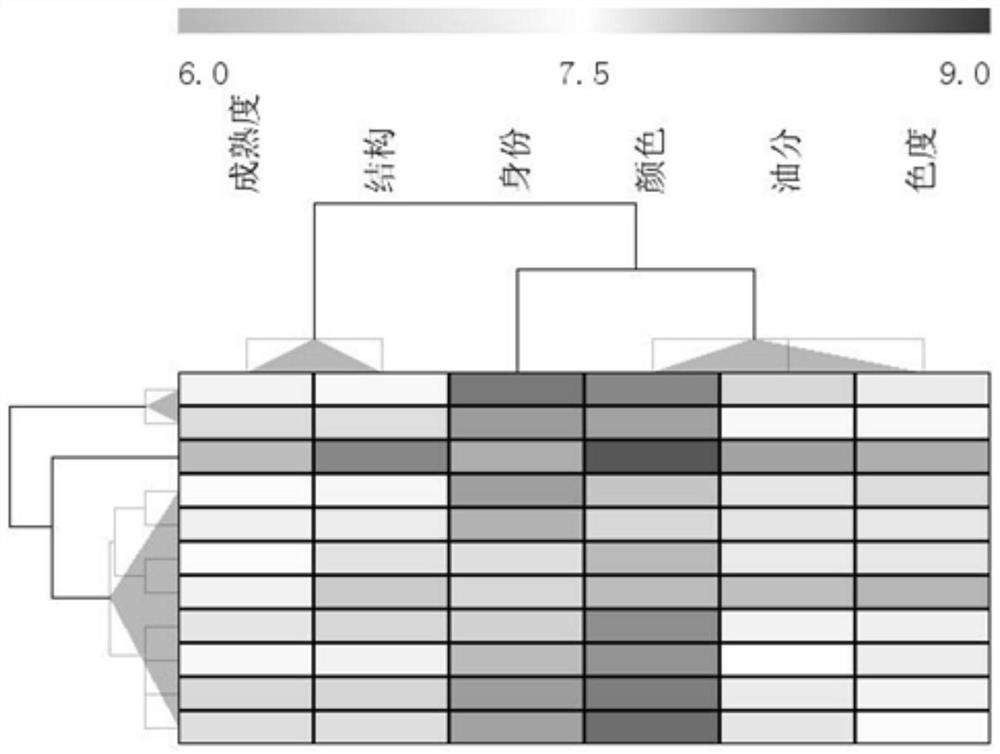 Flue-cured tobacco appearance quality evaluation data processing method and system, terminal and computer equipment