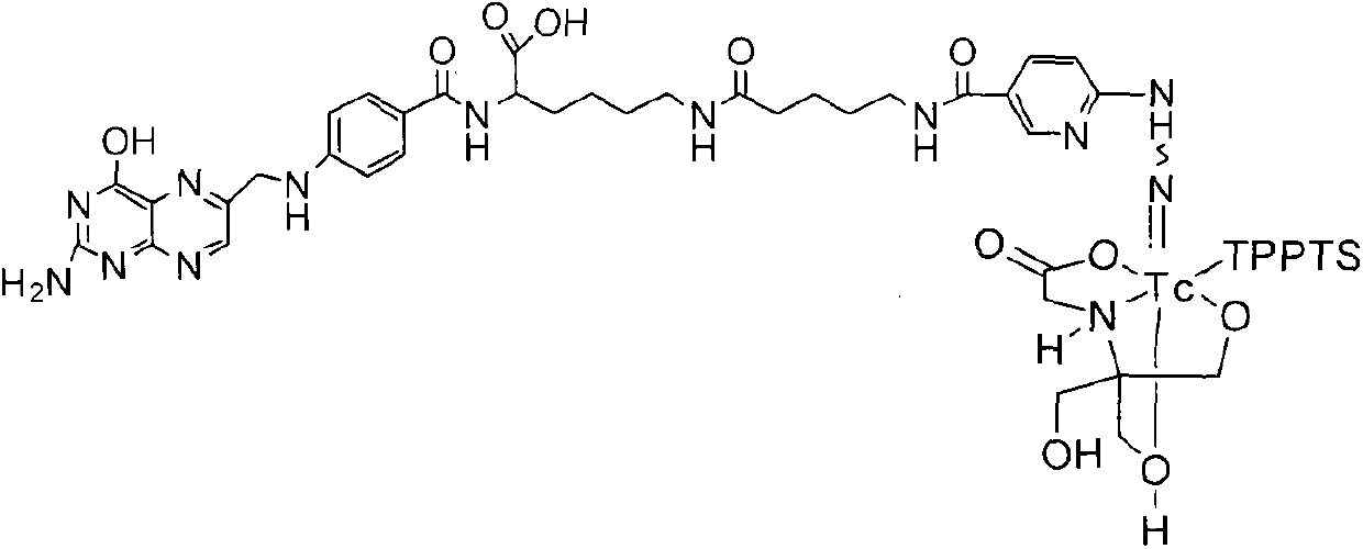 Preparation method and application for 99mTc-labelled hydrazino-nicotinamide-5-aminopentanoic acid-pteroyl lysine complex
