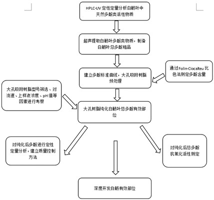 A preparation method of macroporous resin used for purification of total polyphenols in Bougainvillea