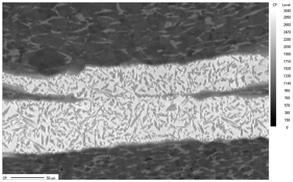 A kind of preparation method of high-strength plastic matrix composite material