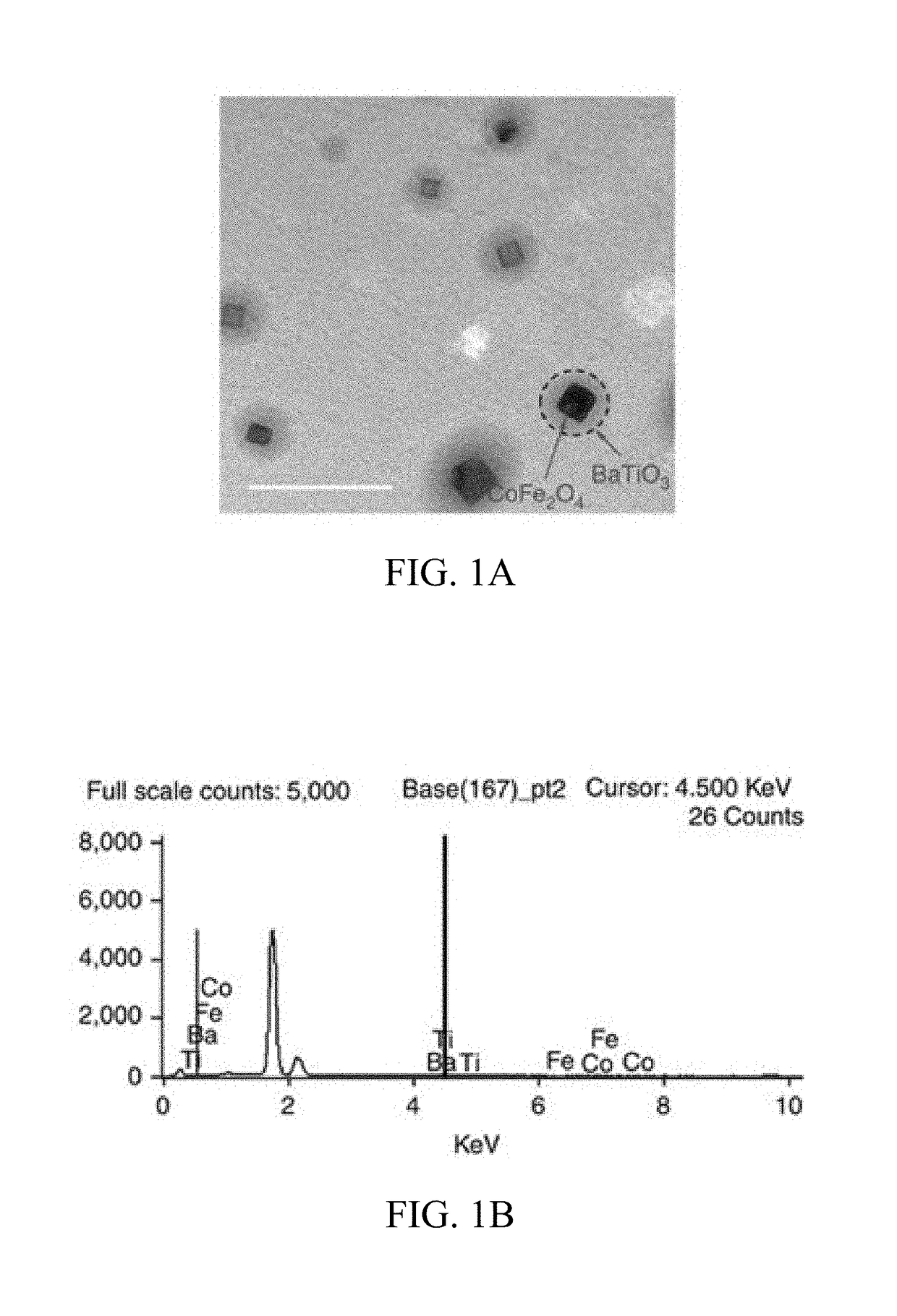 Compositions and methods for treating HIV-associated neurocognitive disorders