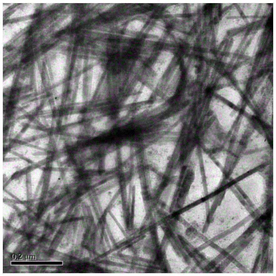 A kind of preparation method of copper sulfide nanowire