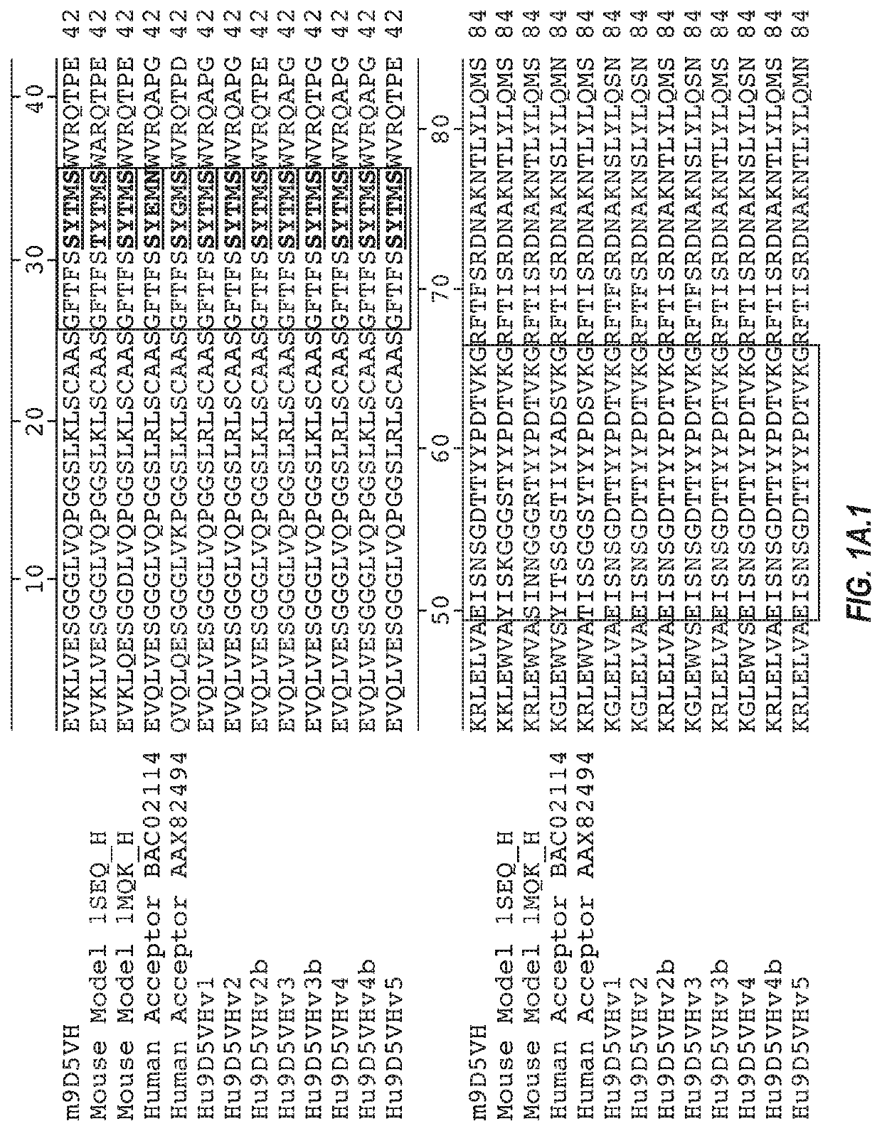 Anti-transthyretin antibodies