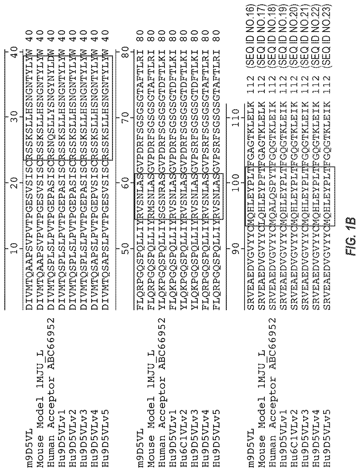 Anti-transthyretin antibodies