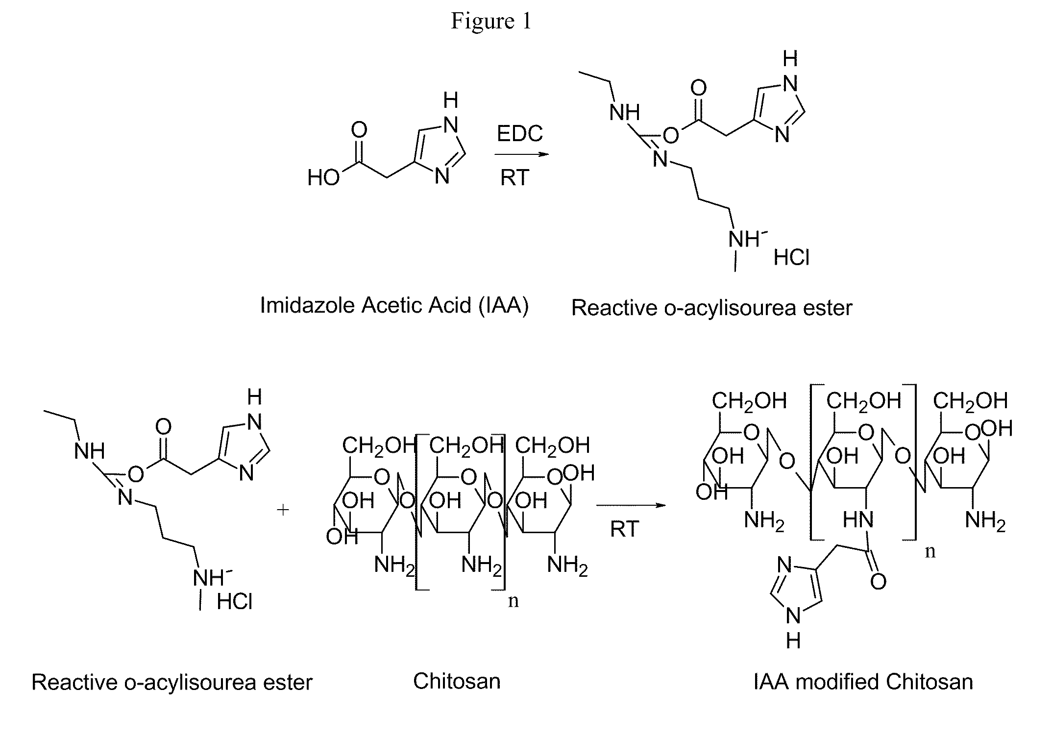 Modified Polysaccharide-Based Delivery of Nucleic Acids