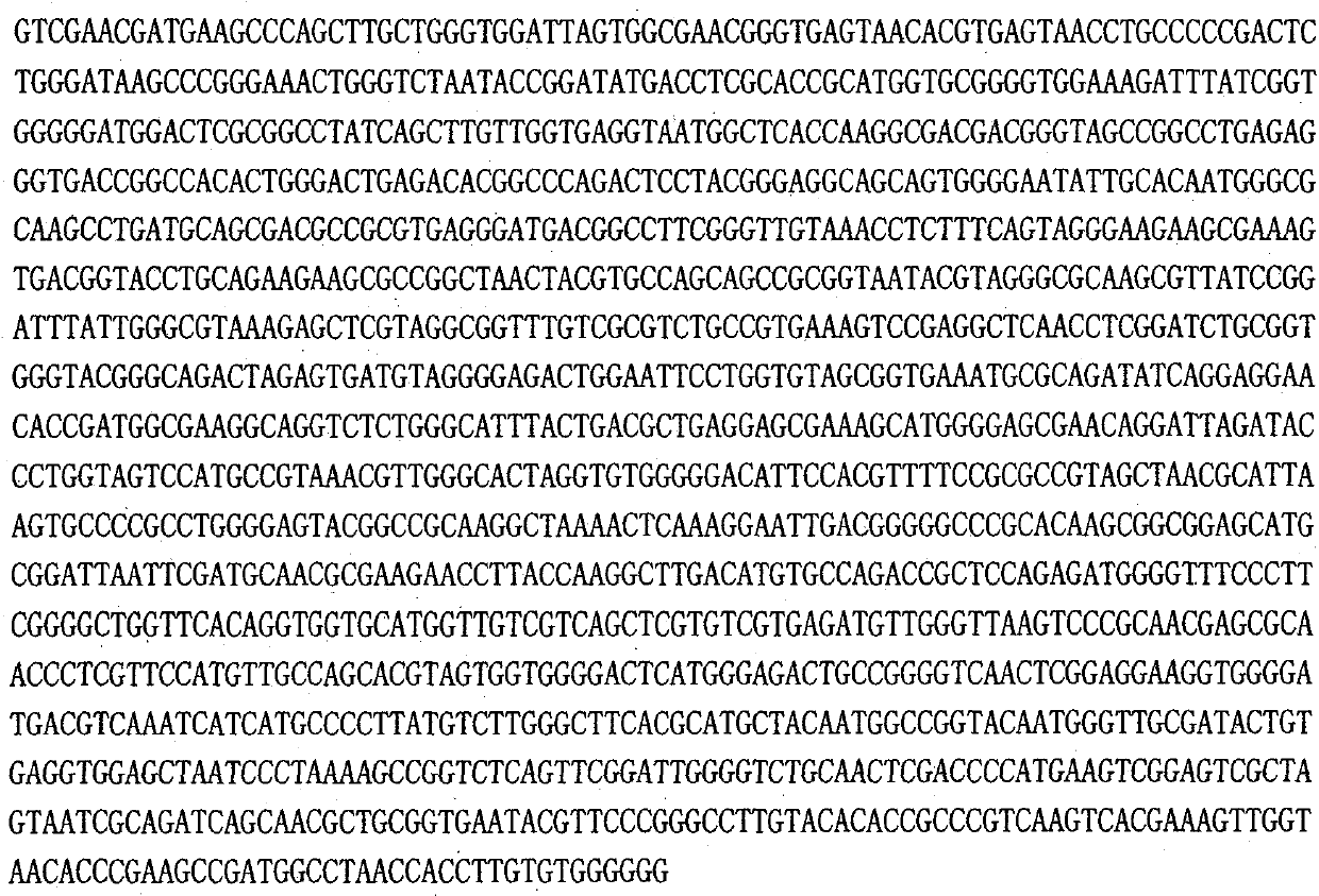 Microbe strain and application thereof