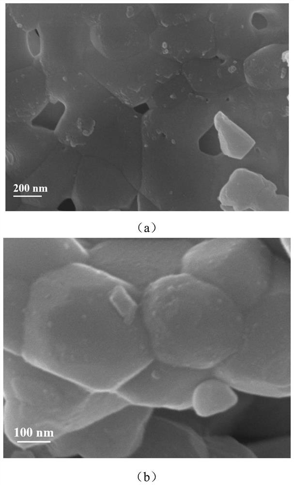 Preparation method and application of perovskite oxide catalyst containing alloy particles