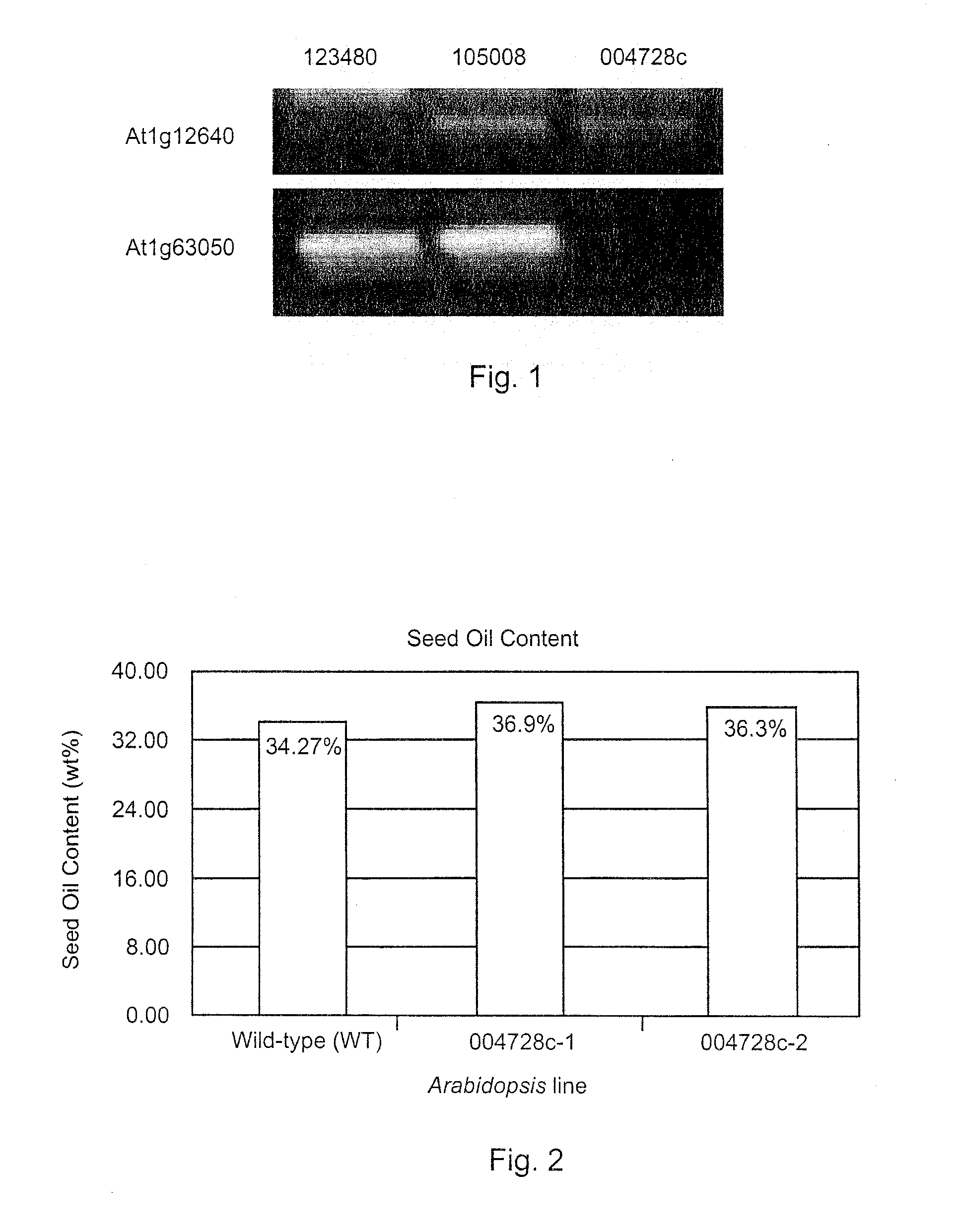 Reduction of lyso-phosphatidylcholine acyltransferase activity