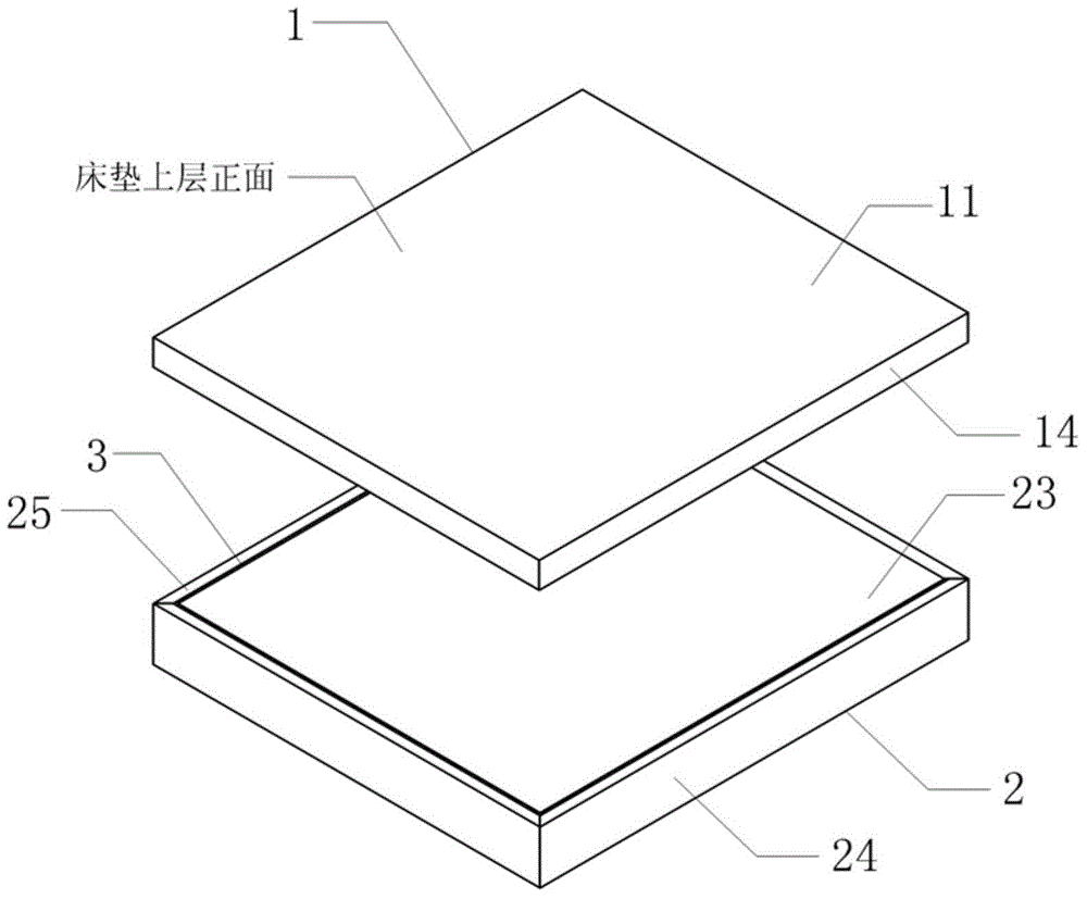 Columnar towel gourd vegetable sponge healthy sectionalized mattress and processing method thereof