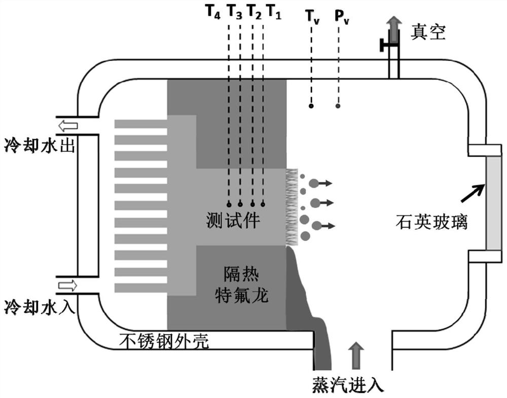 Condensation heat transfer performance characterization device