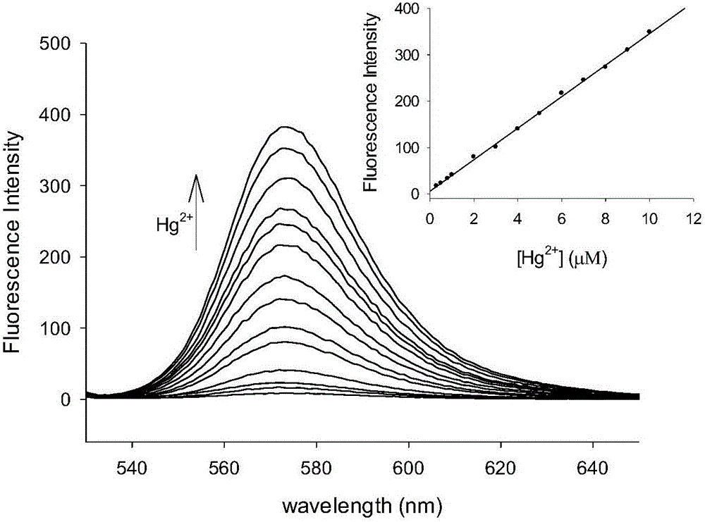 Method for preparing water-soluble mercury ion fluorescence probe on basis of rhodamine and application of water-soluble mercury ion fluorescence probe