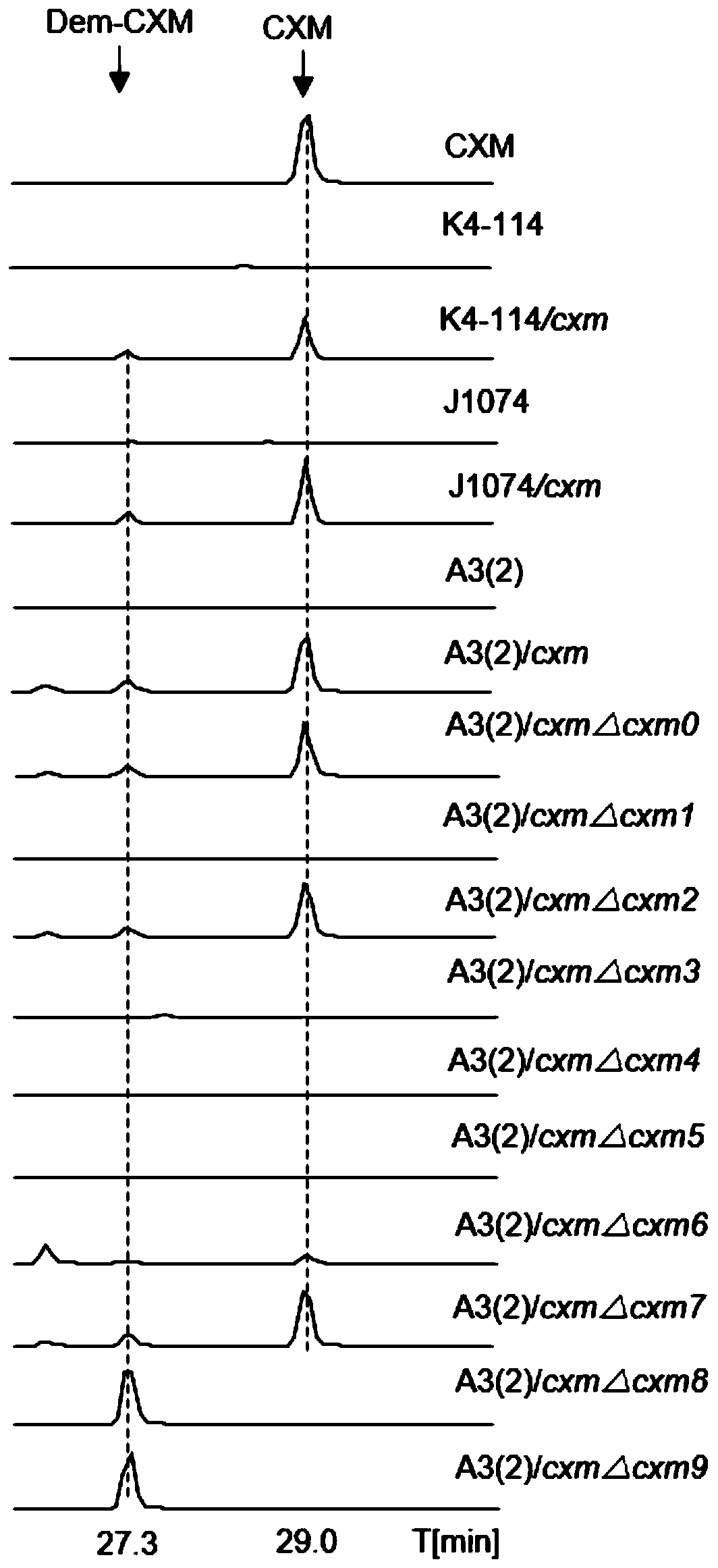 Biosynthetic gene cluster of noveltymycin and its application