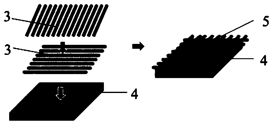 Method for preparing carbon nanotube film reticular structure for reinforcing water vapor condensation