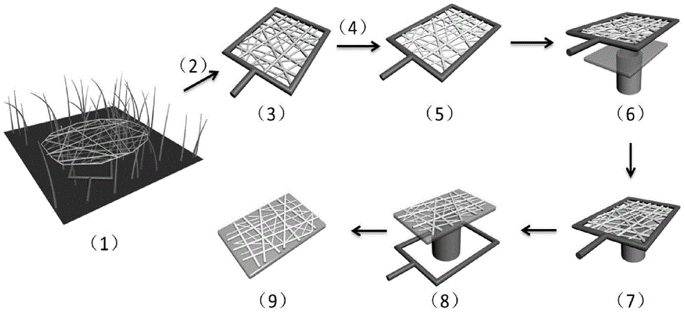 Method for preparing araneose transparent conductive electrode