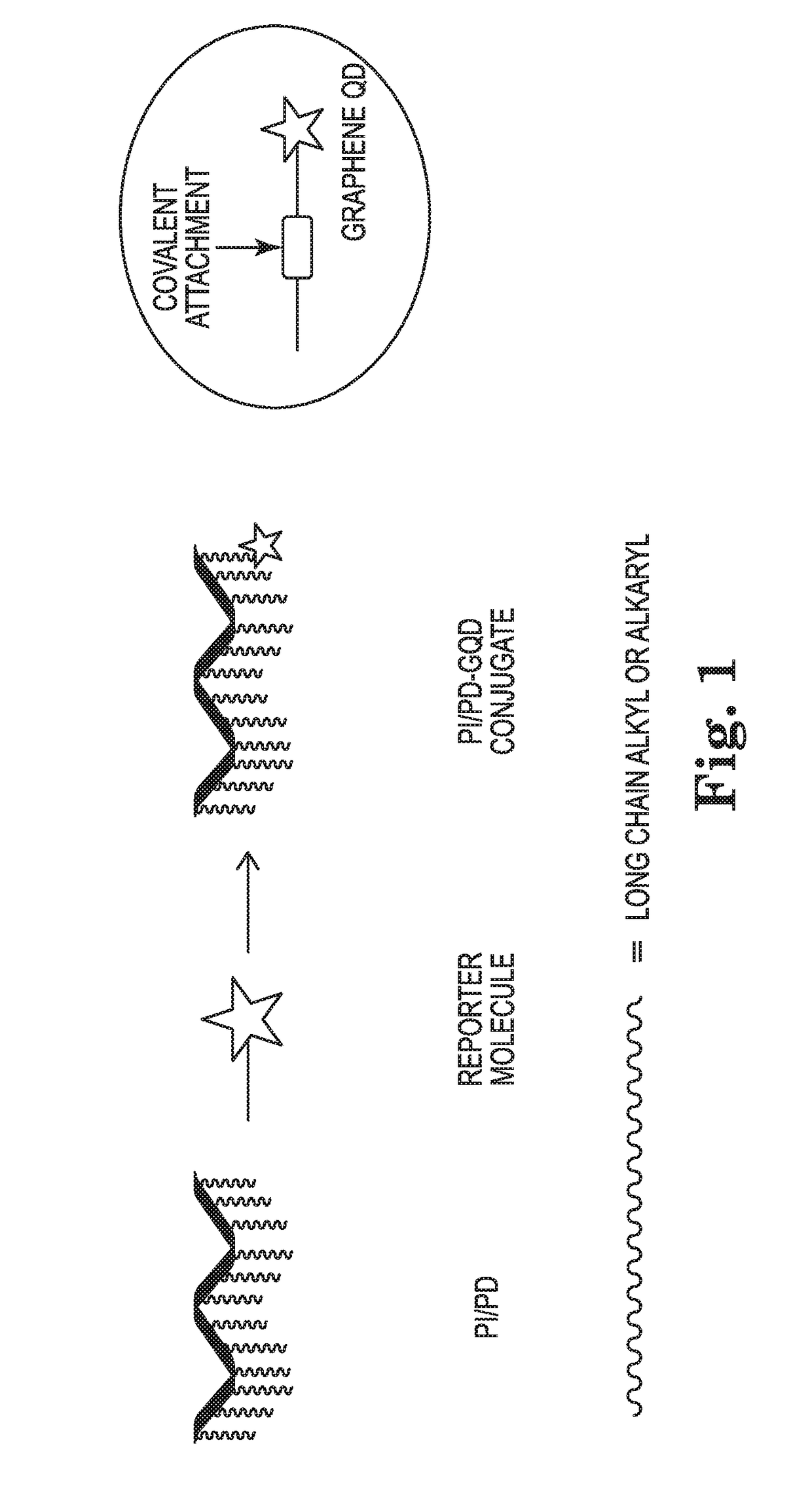 Paraffin suppressant compositions, and methods of making and using