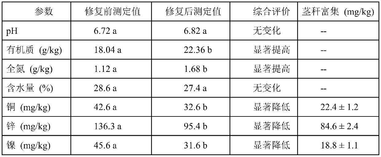 Planting method of triple-effect flower belt on contaminated areas on two sides of urban road