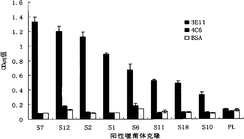 Foot-and-mouth disease virus (FMDV) resistant monoclonal antibody and identified epitope and application thereof