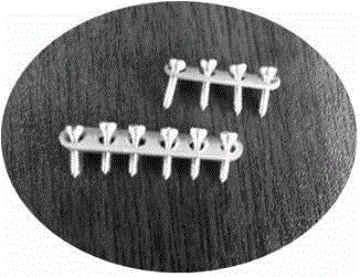 Coated magnesium alloy bone nails, bone plates and cancellous bone screws and preparation method thereof