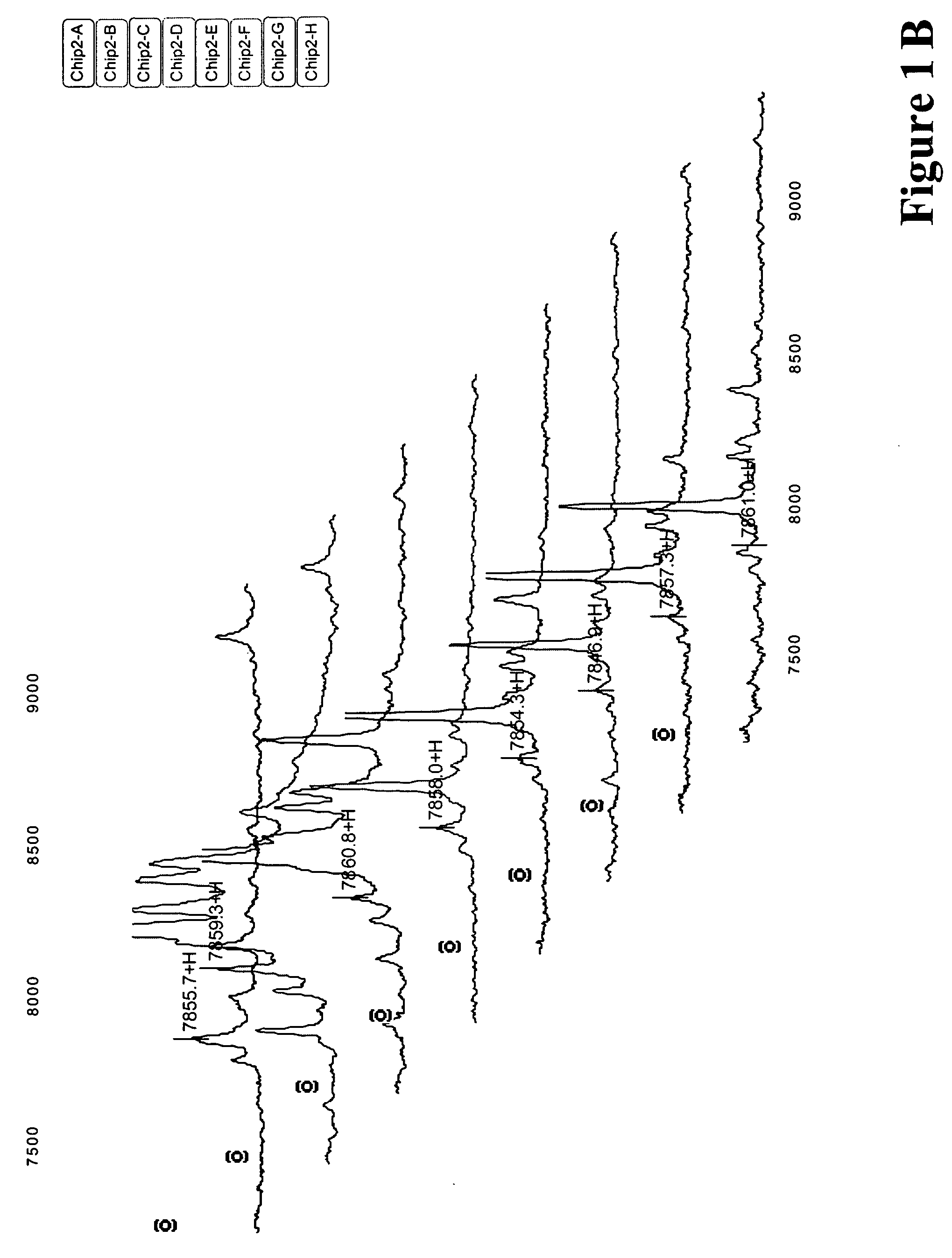 Serum biomarkers for Chagas disease