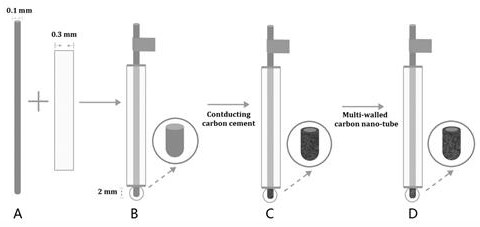 Plant salicylic acid in-situ real-time detection method based on needle electrode