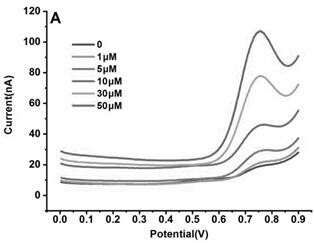 Plant salicylic acid in-situ real-time detection method based on needle electrode