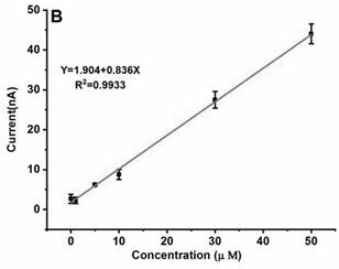 Plant salicylic acid in-situ real-time detection method based on needle electrode