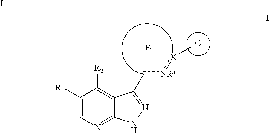 Tri-cyclic pyrazolopyridine kinase inhibitors