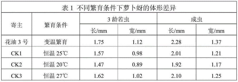 Method for increasing lipaphis erysimi breeding efficiency