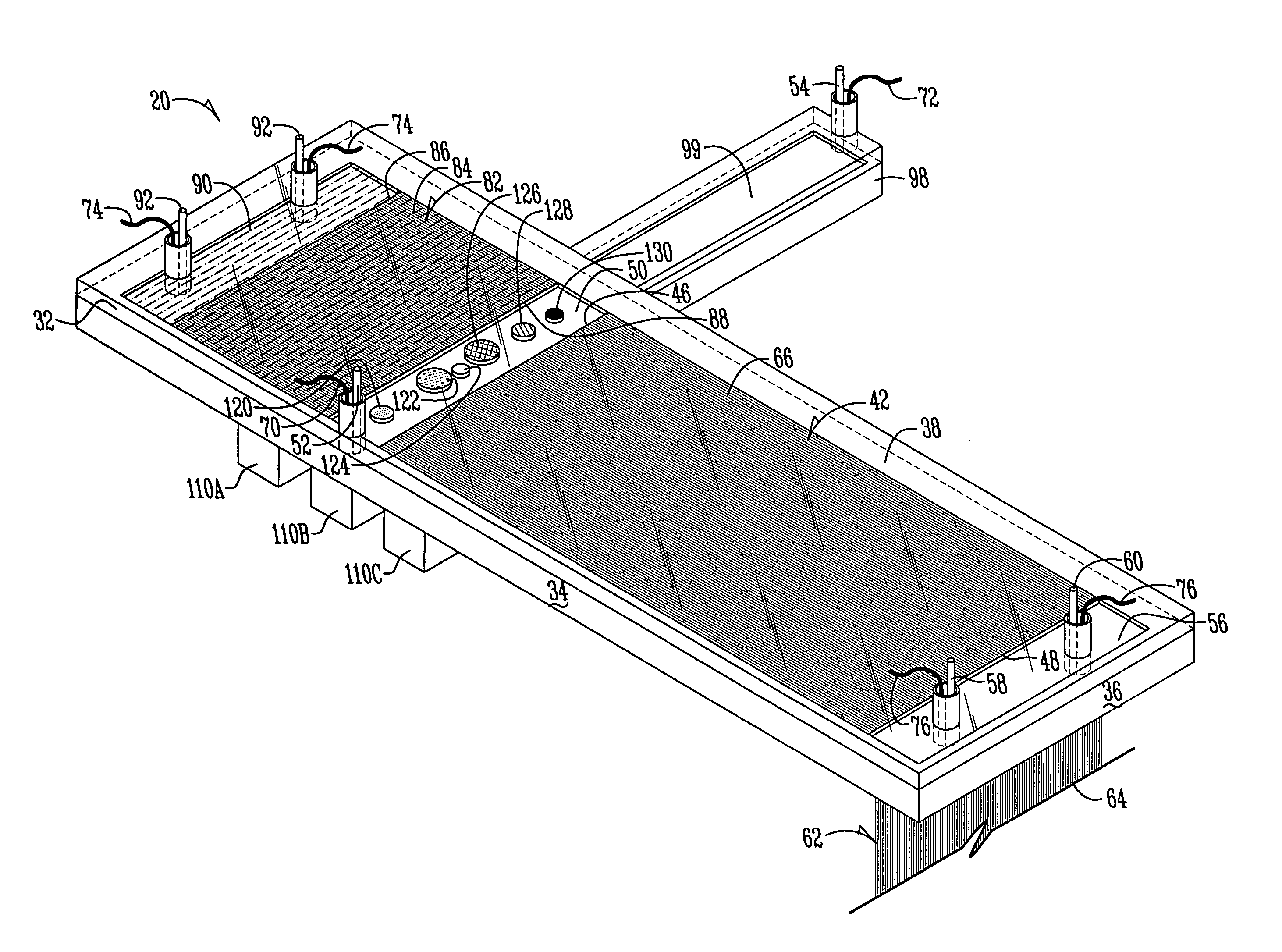 Microfabricated chip and method of use