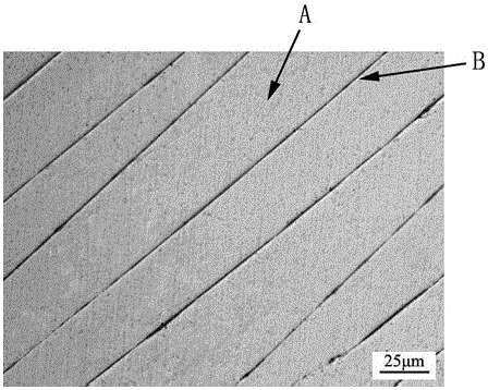 A method for observing shear bands in zirconium-based amorphous alloys