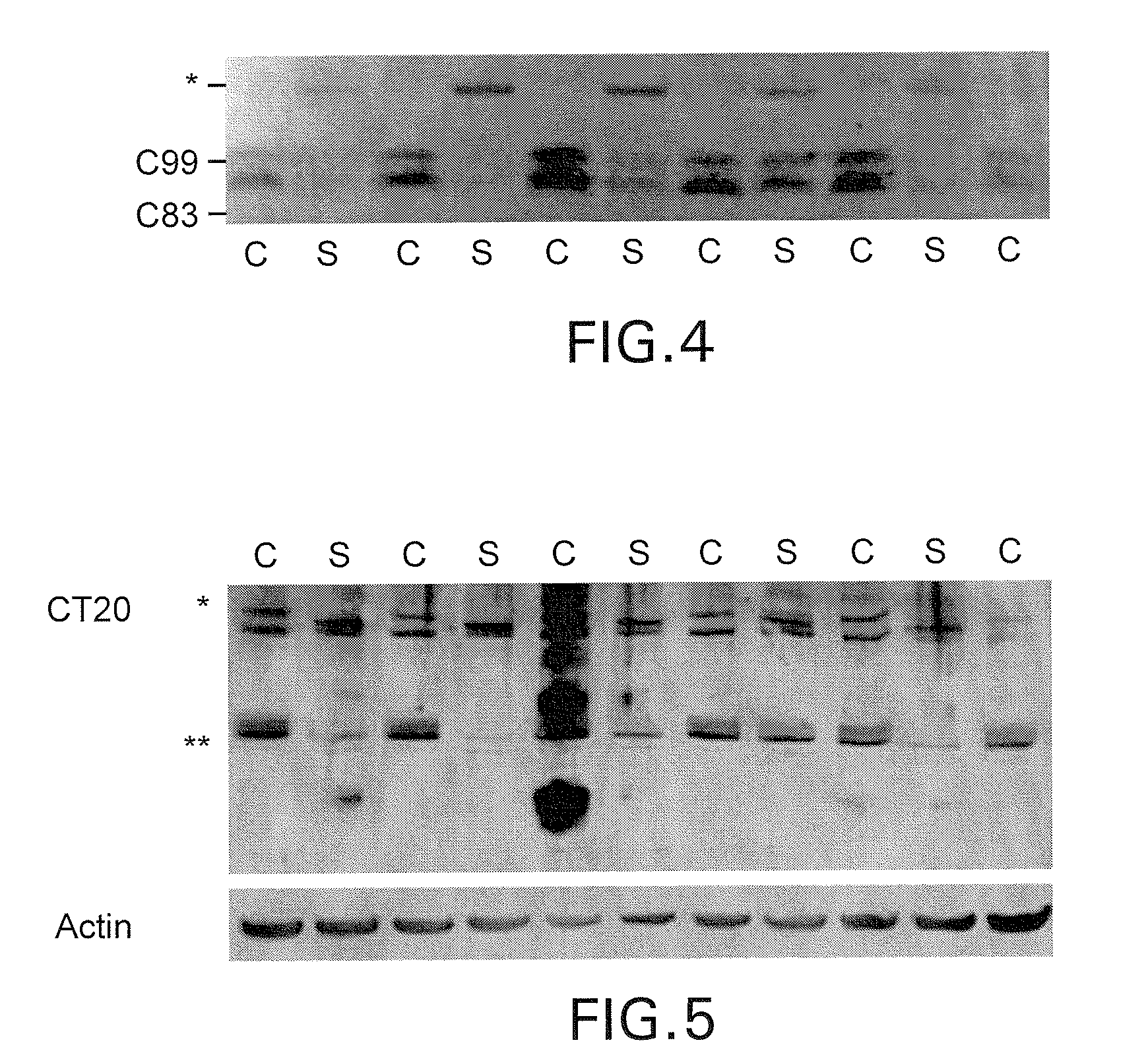 Method of Inducing Cleavage of Amyloid Precursor Protein to Form a Novel Fragment