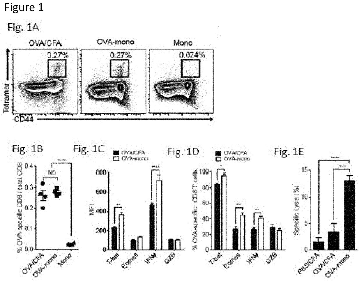 Cell-based vaccine compositions and methods of use