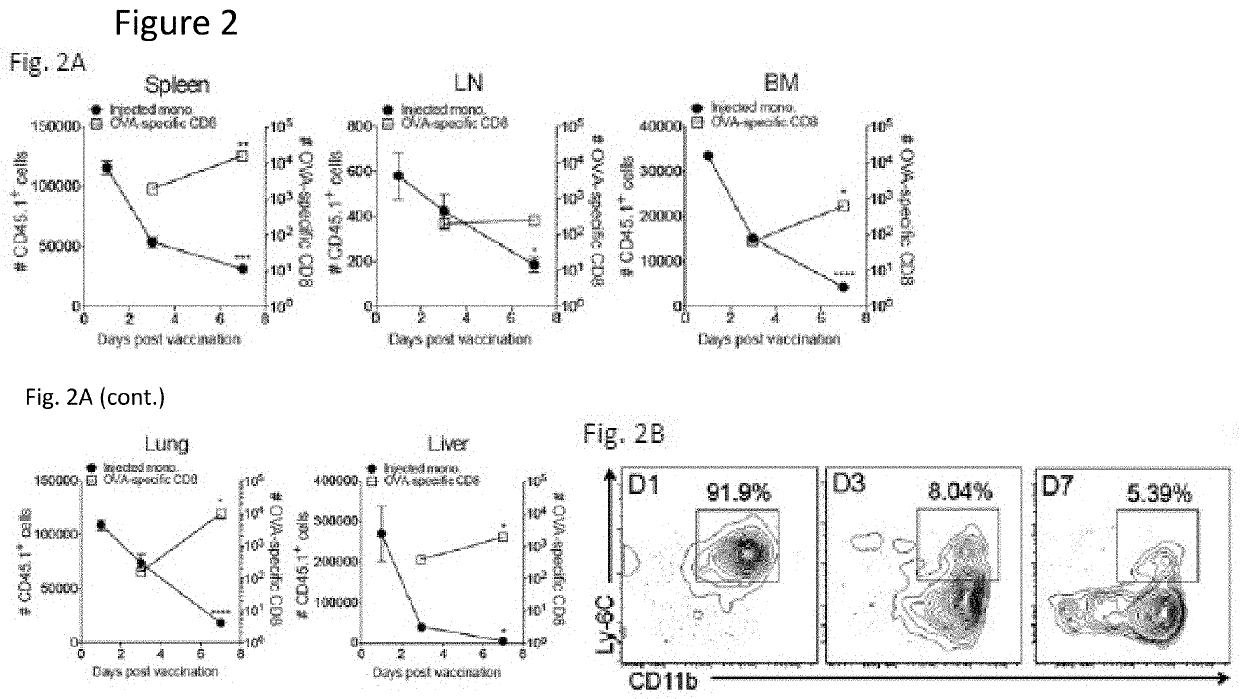 Cell-based vaccine compositions and methods of use