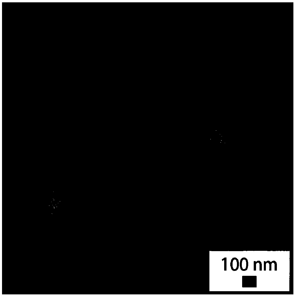 A method for preparing a functional barrier layer for a lithium sulfide battery