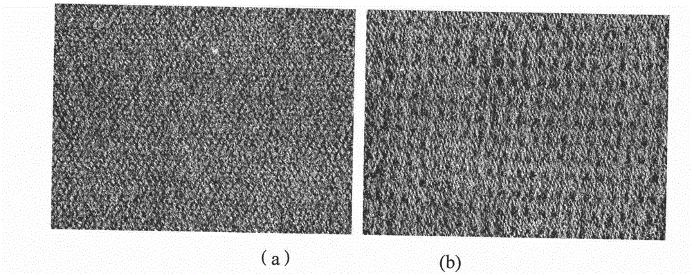 Moisture permeable and warm-keeping multi-layer fractal biomimetic fabric